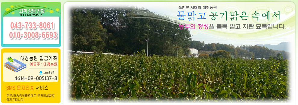 슬라이드 이미지