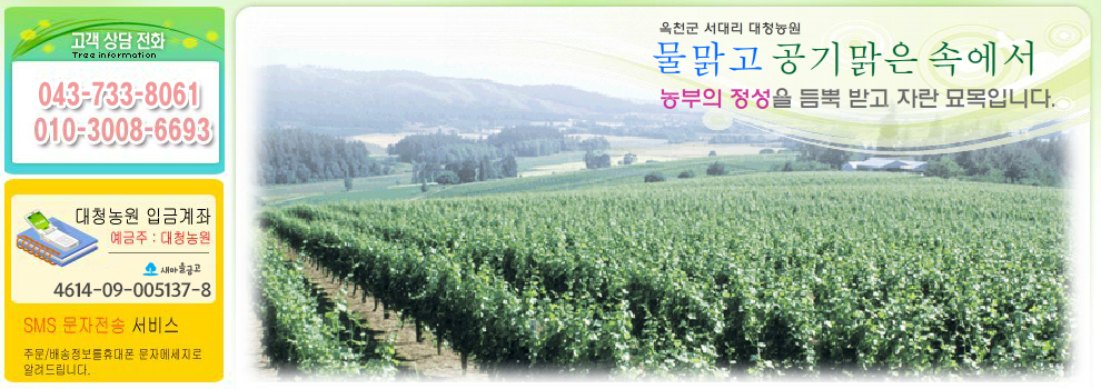 슬라이드 이미지